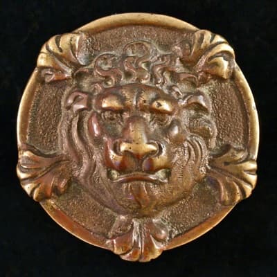 Lion with five paws