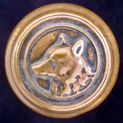 Dog Wolf