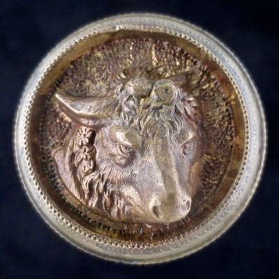 Bull