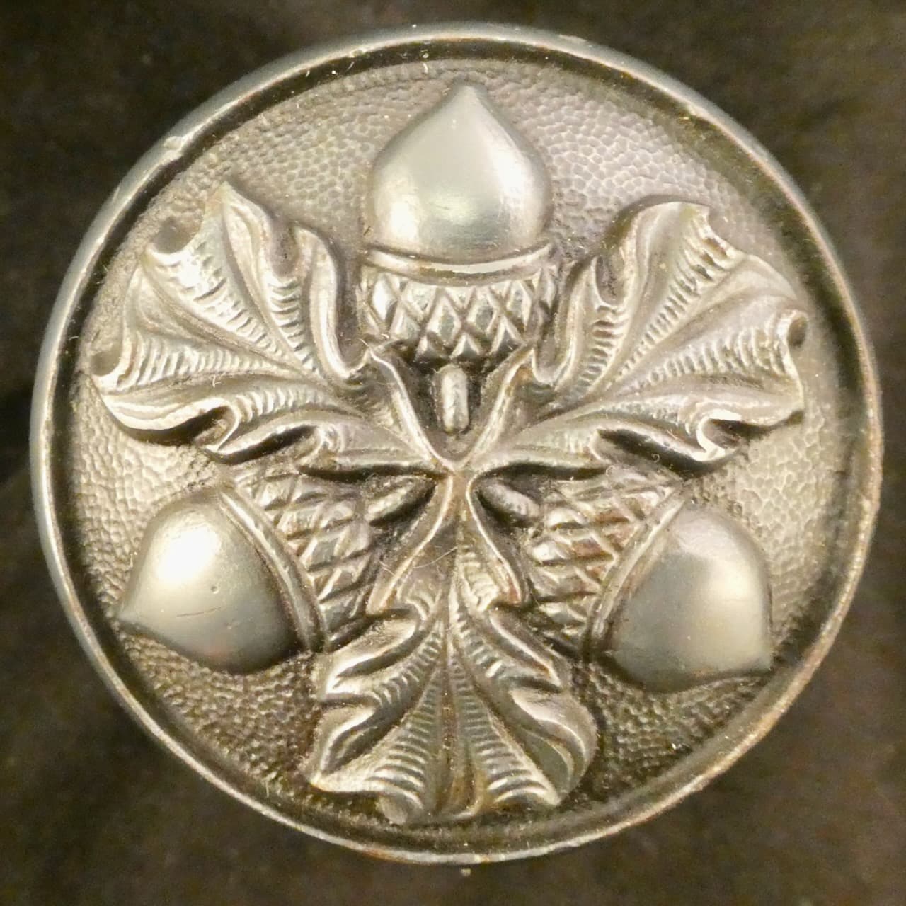 Acorn